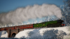 8c745ce0-6290-4113-806d-f0845fabf9ed.png
