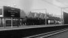 LNER Thompson Class B1 5.jpg