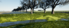 ScreenShot_1707665672_00.png