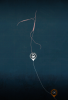 upload_2024-2-17_14-50-39.png