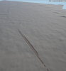 cb_b_pic0_250224.png