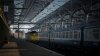 47 Runround Preston.jpg