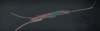upload_2024-2-27_17-36-15.png