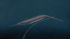 upload_2024-2-28_12-23-46.png