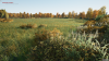 Screenshot (10036).png