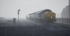 TSW_Ryan_1559057136_00.png