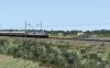 Screenshot_BSRR - The Branford Steam RR_41.28052--72.47736_14-56-03.jpg