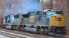 IMG_5372.jpeg