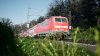 IMG_2024.03.18-18.30.16.jpg