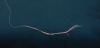 upload_2024-3-27_1-40-47.png