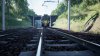 floating vegetation 03.jpg