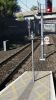 Barking stop signs4.png