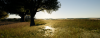 ScreenShot_1712516295_00.png