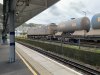 IMG_1190.jpeg