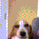 IMG_0176.gif