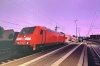 IMG_1319.jpeg