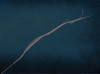 upload_2024-4-15_17-21-49.png