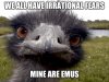 emu.jpg
