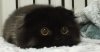 upload_2024-4-23_0-48-41.jpeg