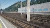 IMG_1125.jpeg