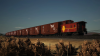 F7b.png