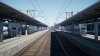 IMG_1131.jpeg