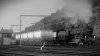 LNER Thompson Class B1 2.jpg
