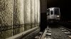 IMG_2924.jpeg