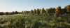 Train Sim World Editor Build_ 218 (Public) 5_5_2024 6_47_36 PM.png