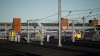 IMG_3933.jpeg