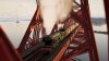 Scotland for Your Holdays 1.jpg