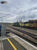 IMG_4895.jpeg