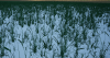 upload_2024-5-9_16-48-41.png
