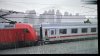 IMG_5648.jpeg