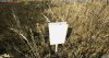 upload_2024-5-13_22-27-37.jpeg