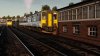 TSW Week 21 Photo 1.jpg