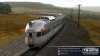 Week30_TS19_schnquz.jpg