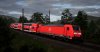TSW_BRD_1566748931_00.jpg