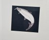 ML Salmon.jpg
