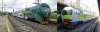 upload_2024-6-25_14-7-40.jpeg