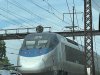 IMG_0422.jpeg