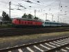 IMG_3439.jpeg