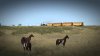IMG_8817.jpeg
