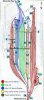 Canfranc layout.jpg