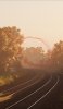 IMG_6415.jpeg