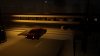upload_2024-7-26_20-48-45.jpeg