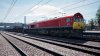 TSW3_David_1722340479_00.jpg