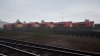 TSW3_David_1723393943_00.jpg