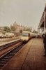 IMG_4294.jpeg