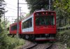images (73).jpeg